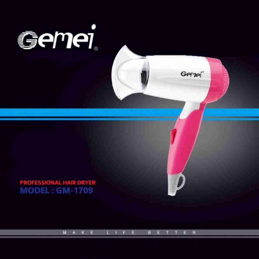 Gemei Dryer Model GM 1709 1professional 2